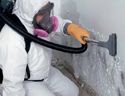 Reliable Biggs, CA Mold Removal Services Solutions